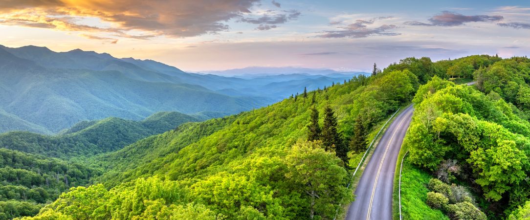 Magic of the South - Sud des États-Unis