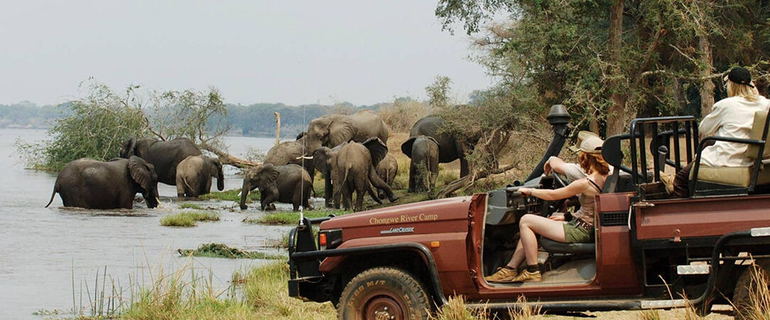 Safari à Yala et fort de Galle