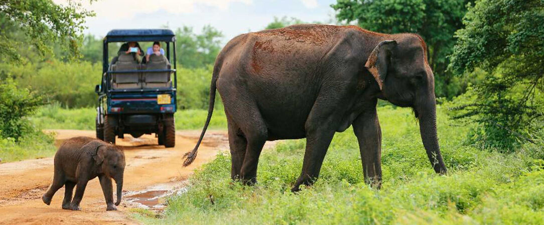 Arrivée au Sri Lanka
