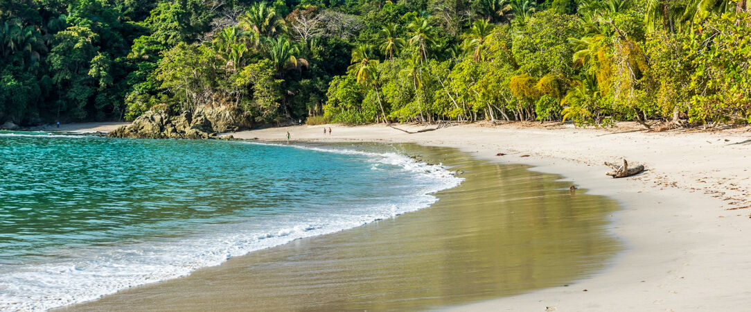 Manuel Antonio