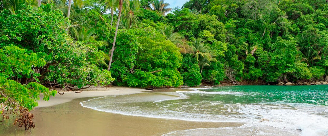 Manuel Antonio