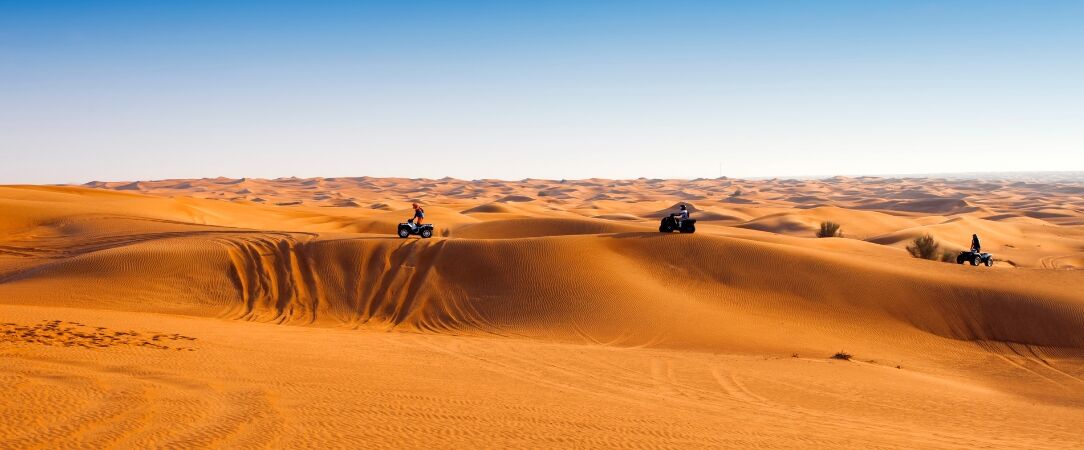 Safari dans le désert