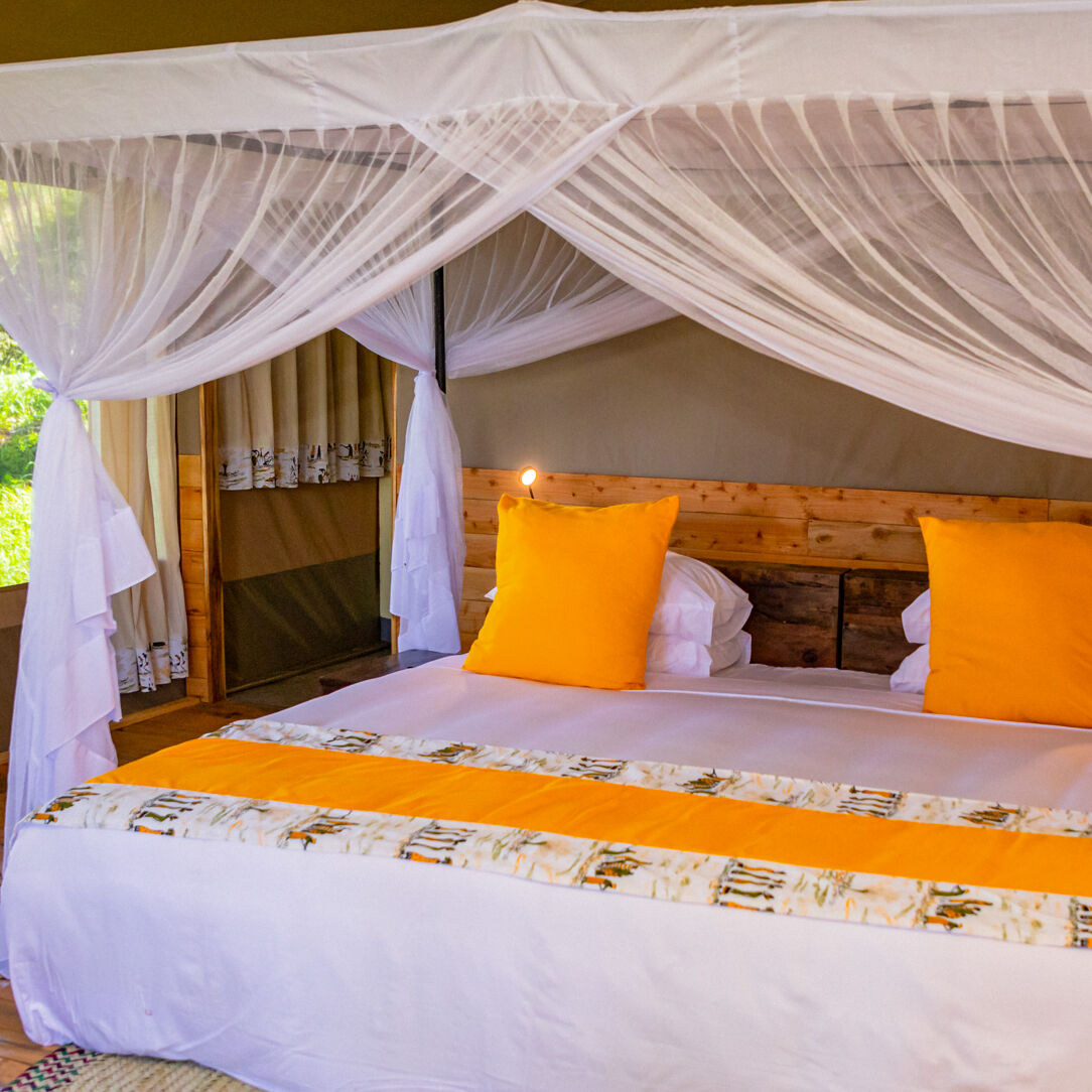 Sangaiwe Mbuyu Camp
