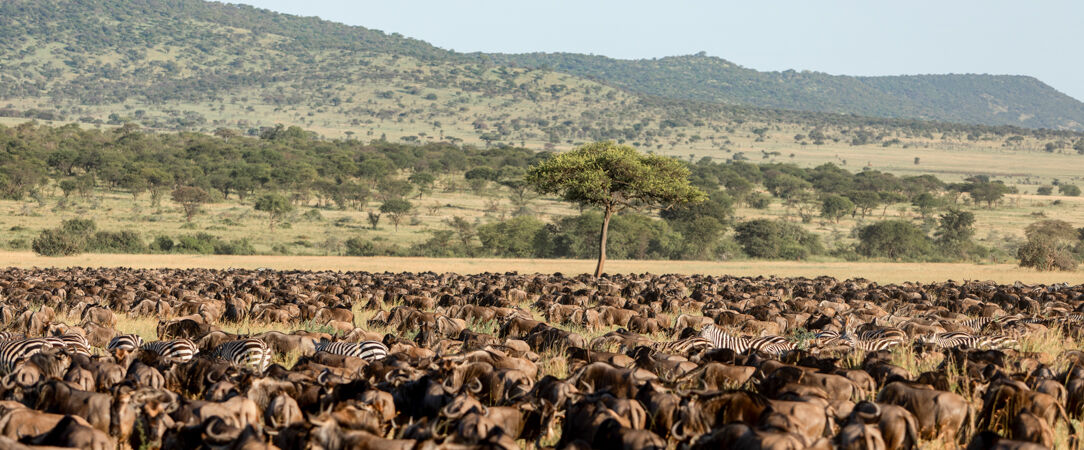 Serengeti journée