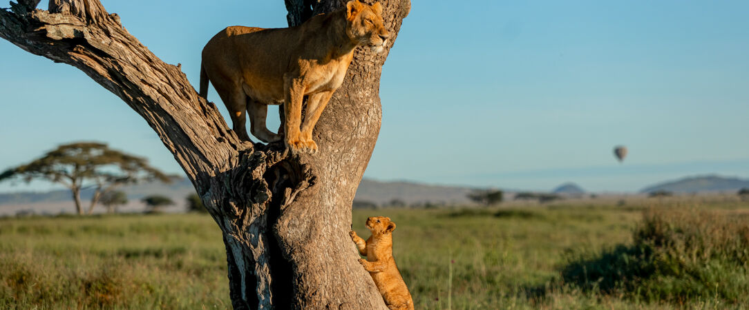 Arusha