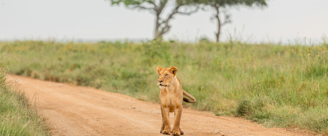 Masai Mara