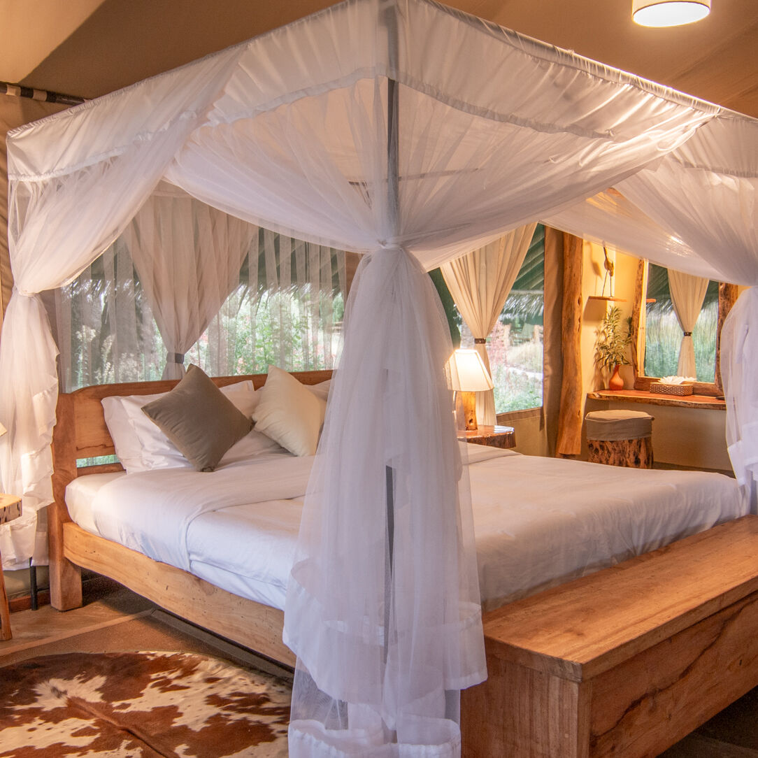 Kibo Safari Camp