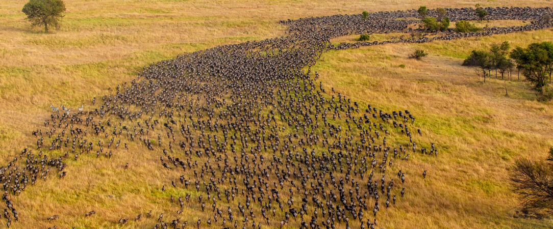 Lac Manyara