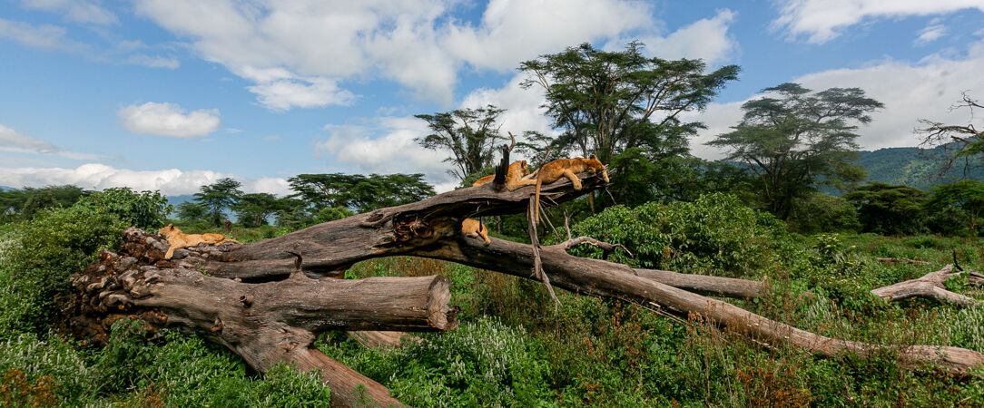 Arusha