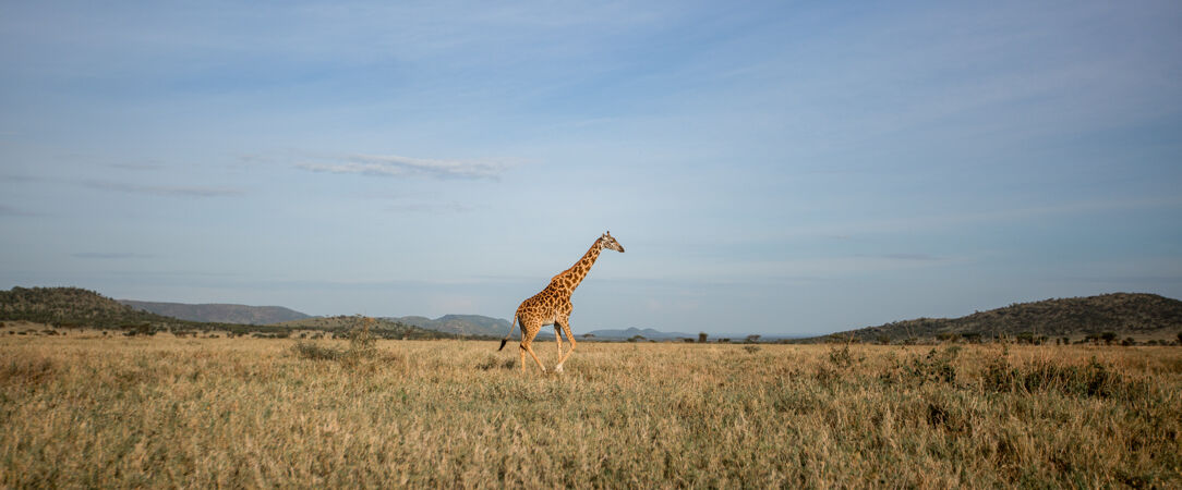 Tarangire