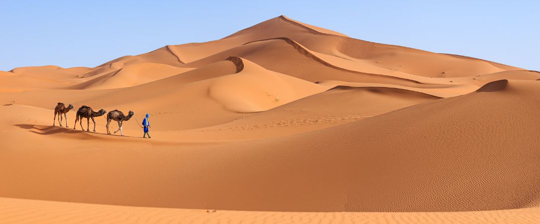 Marrakech et les portes du désert