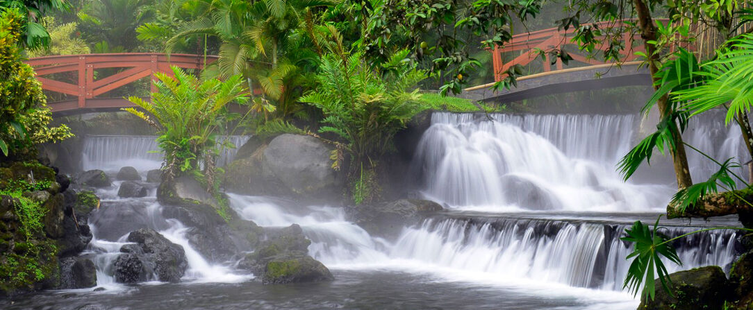 Arenal