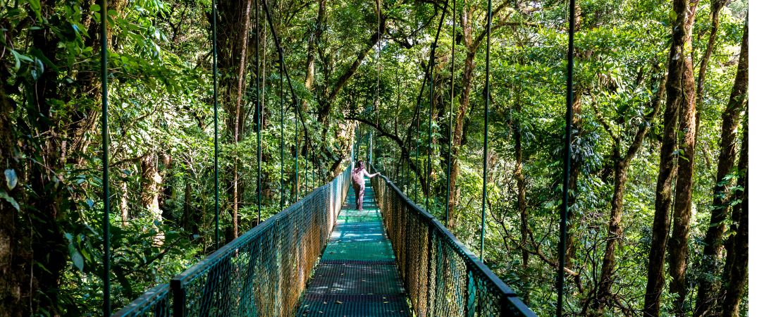 Monteverde