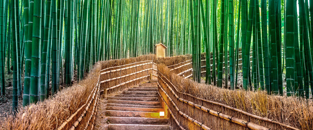 Kyoto Fushimi Inari