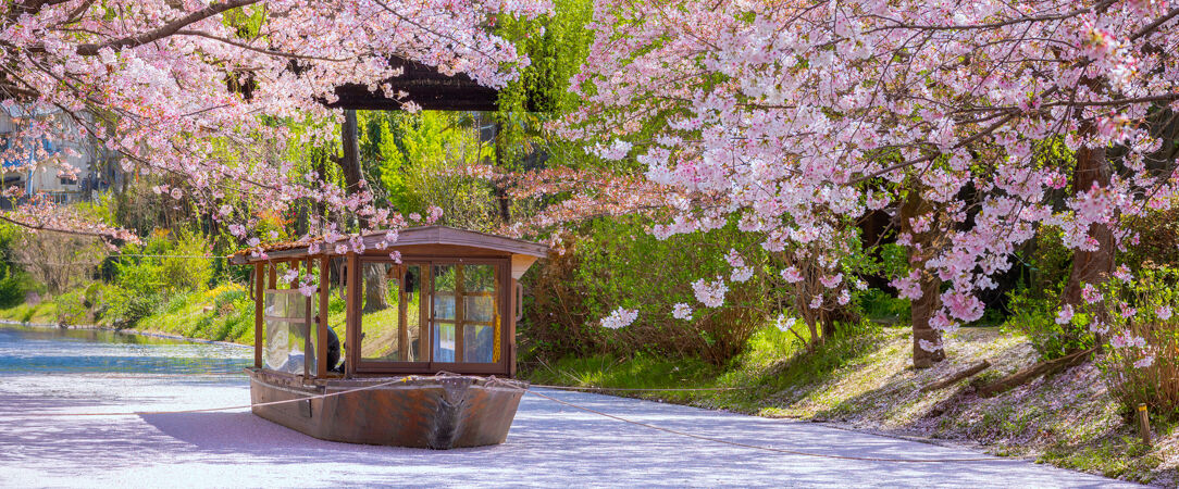 Kyoto Arashiyama