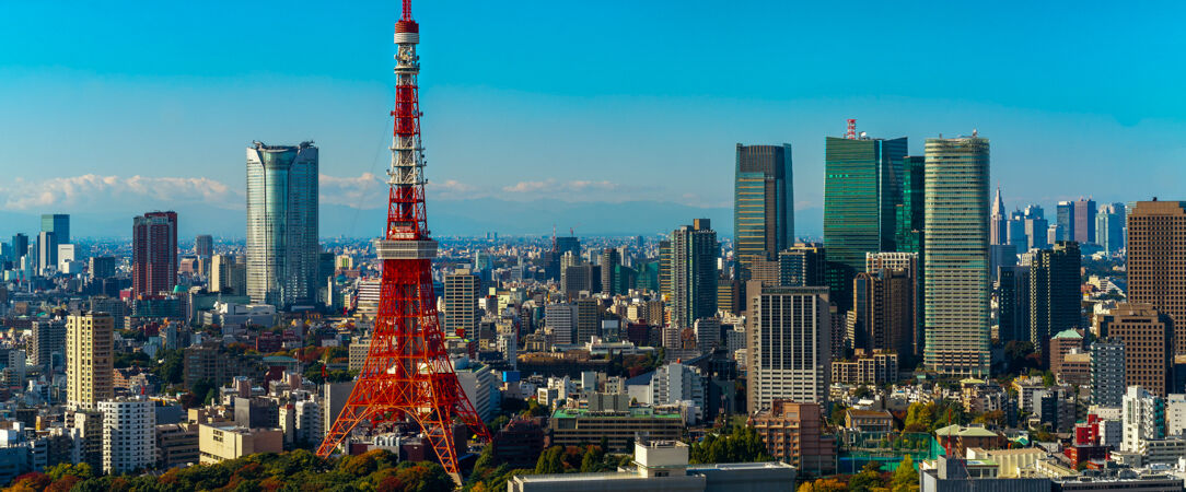 Vol vers Tokyo